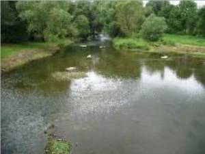 Tauberblick