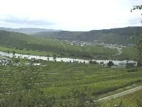 Trittenheim